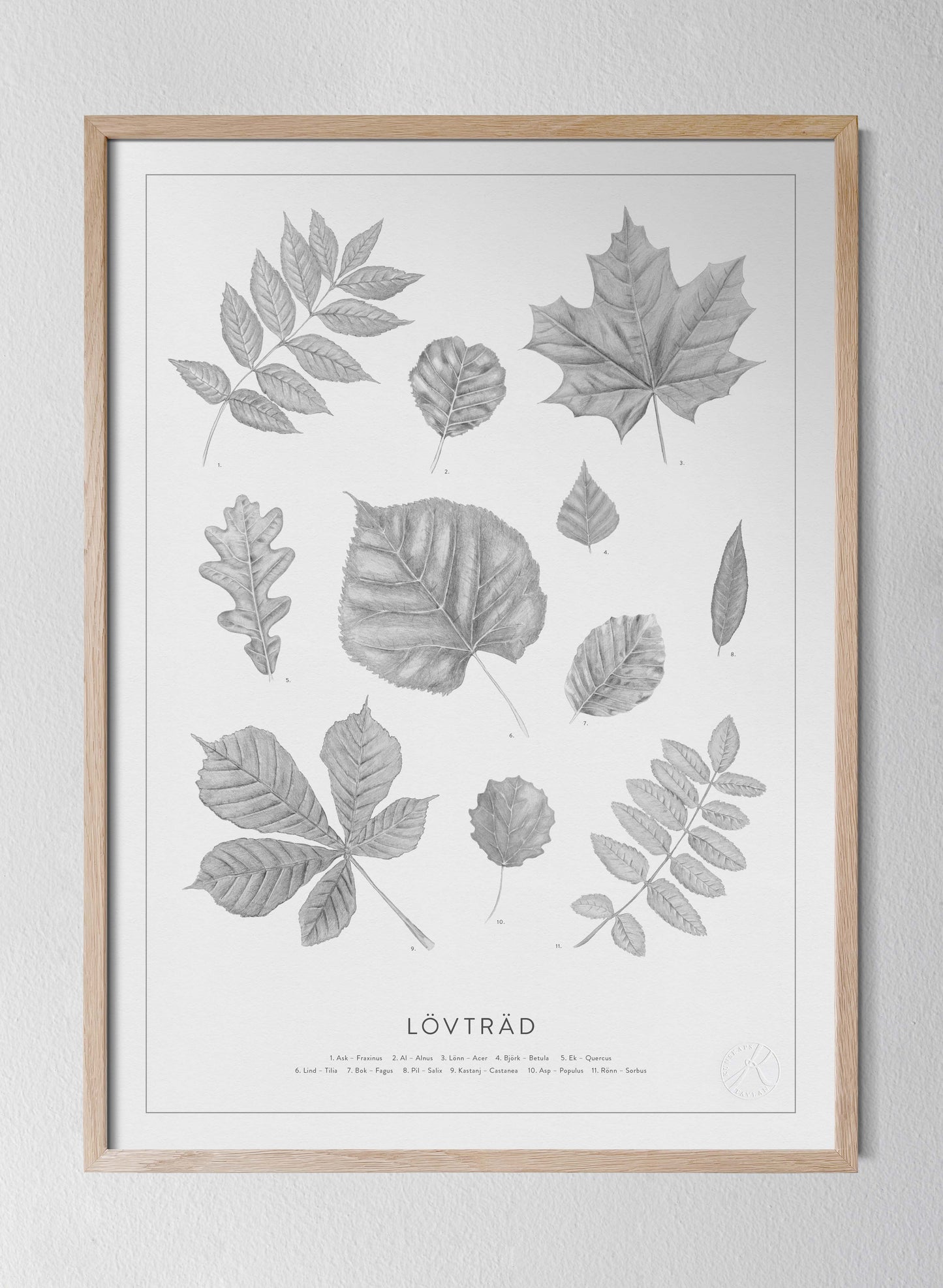 Lövträd - Leaves in Swedish
