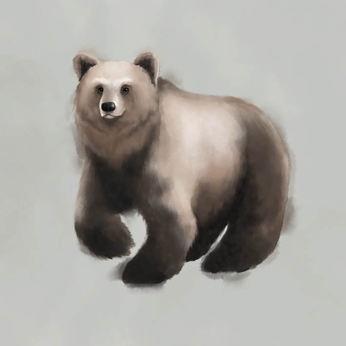 Greeting card - The Bear
