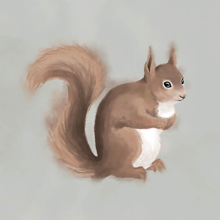 Greeting card - The Squirrel