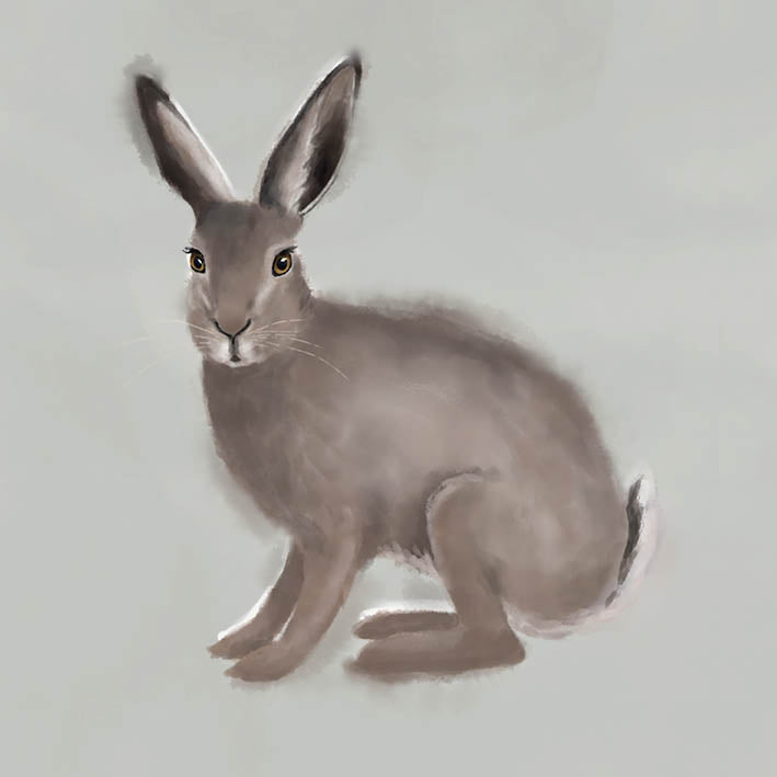 Greeting card - The Hare