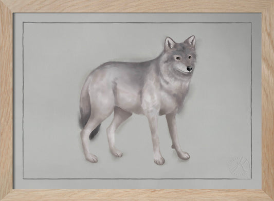 The Wolf - Watercolour