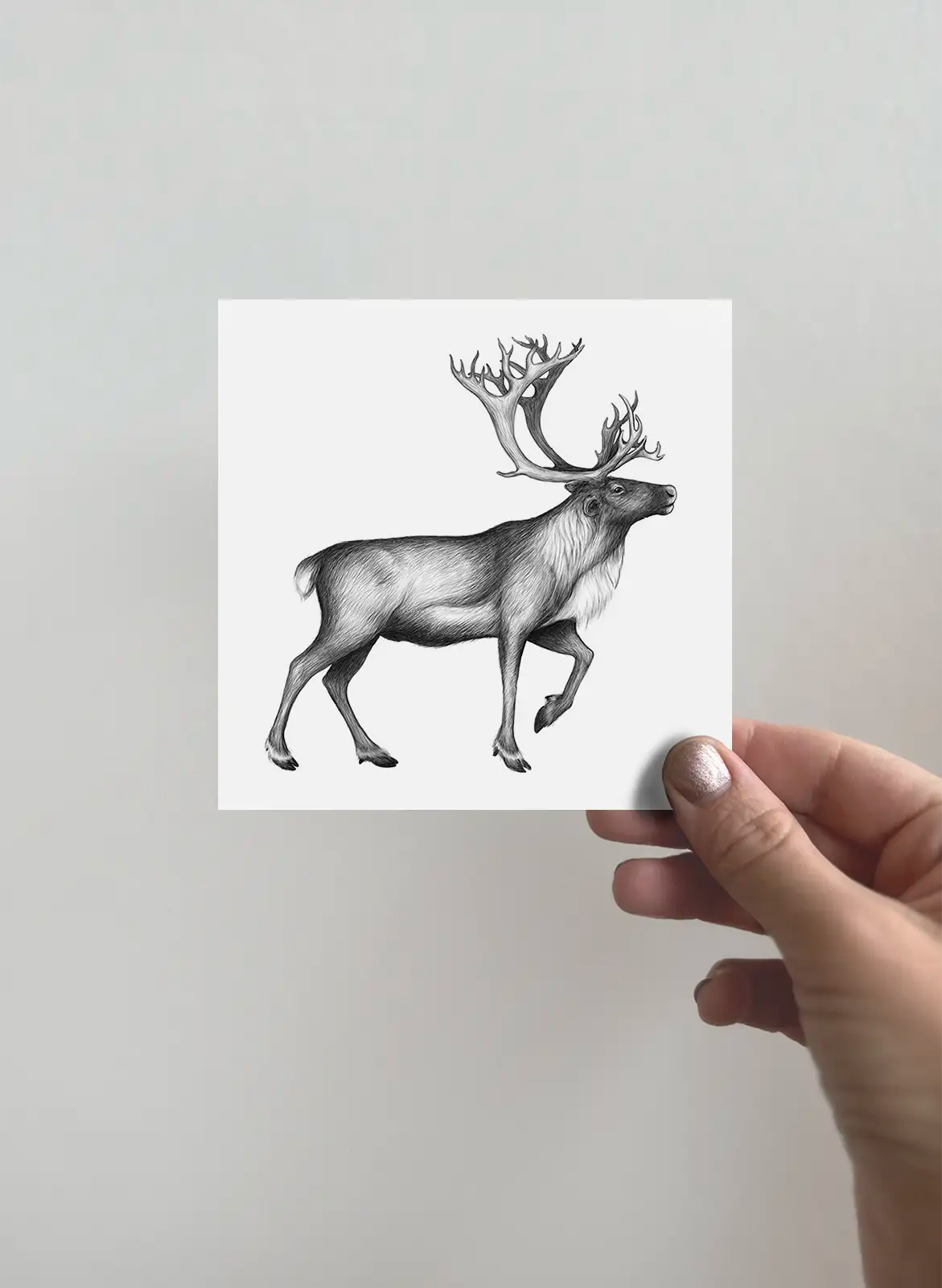 Greeting card - The Reindeer