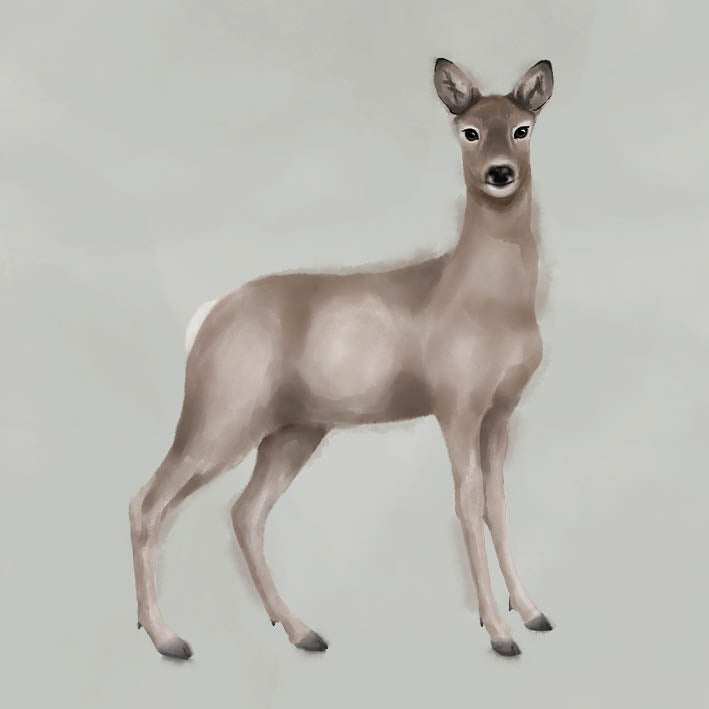 Greeting card - The Deer