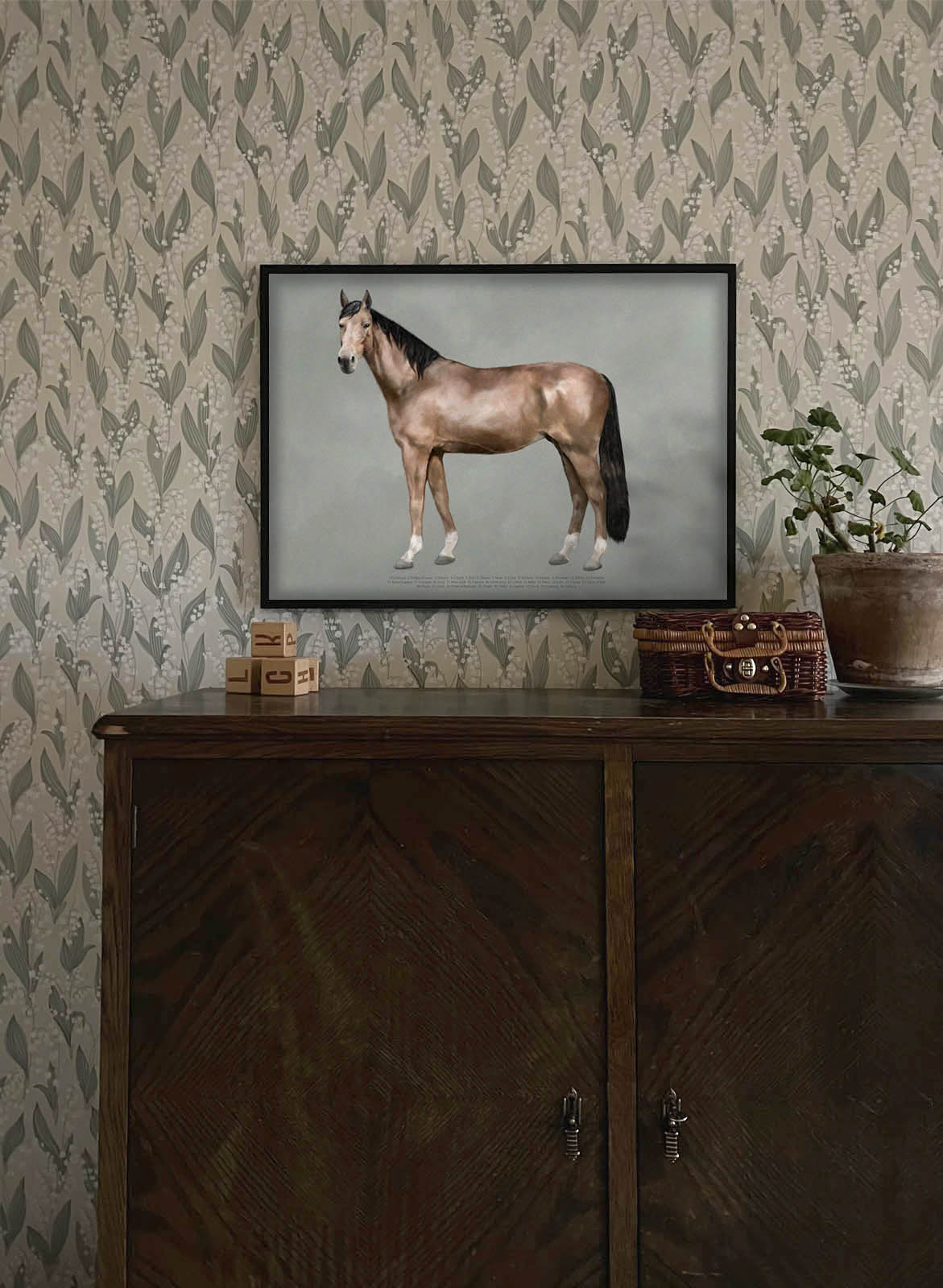 The Anatomy of the Horse