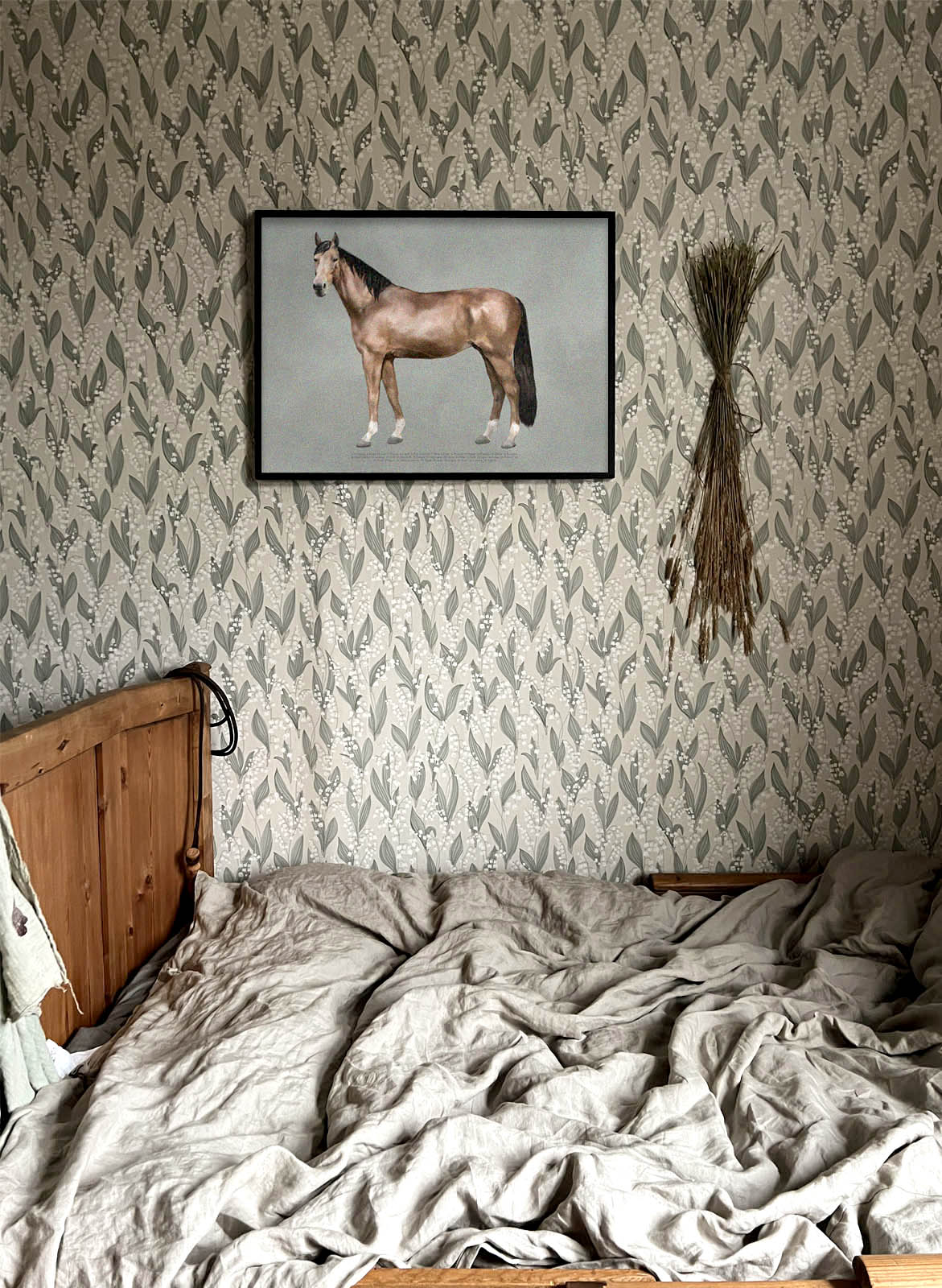 The Anatomy of the Horse