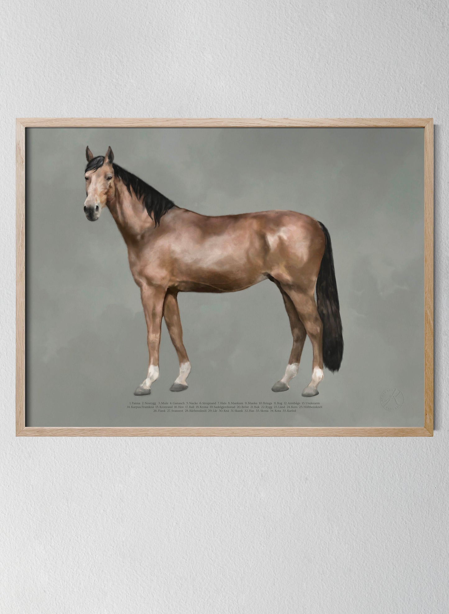 The Anatomy of the Horse - in Swedish
