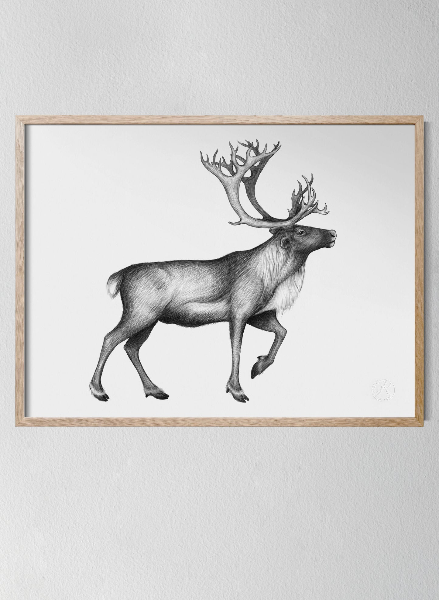 The Reindeer