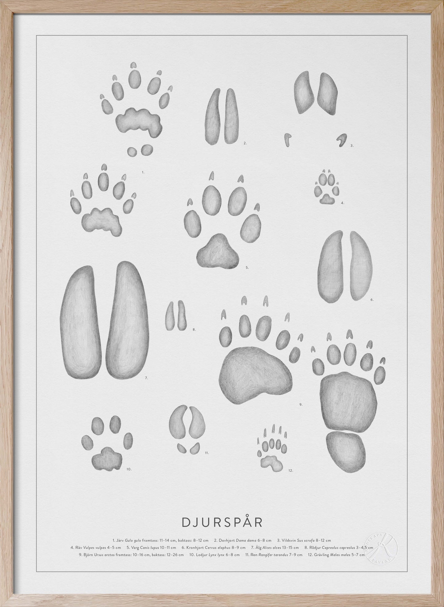 Nordic Animal Tracks