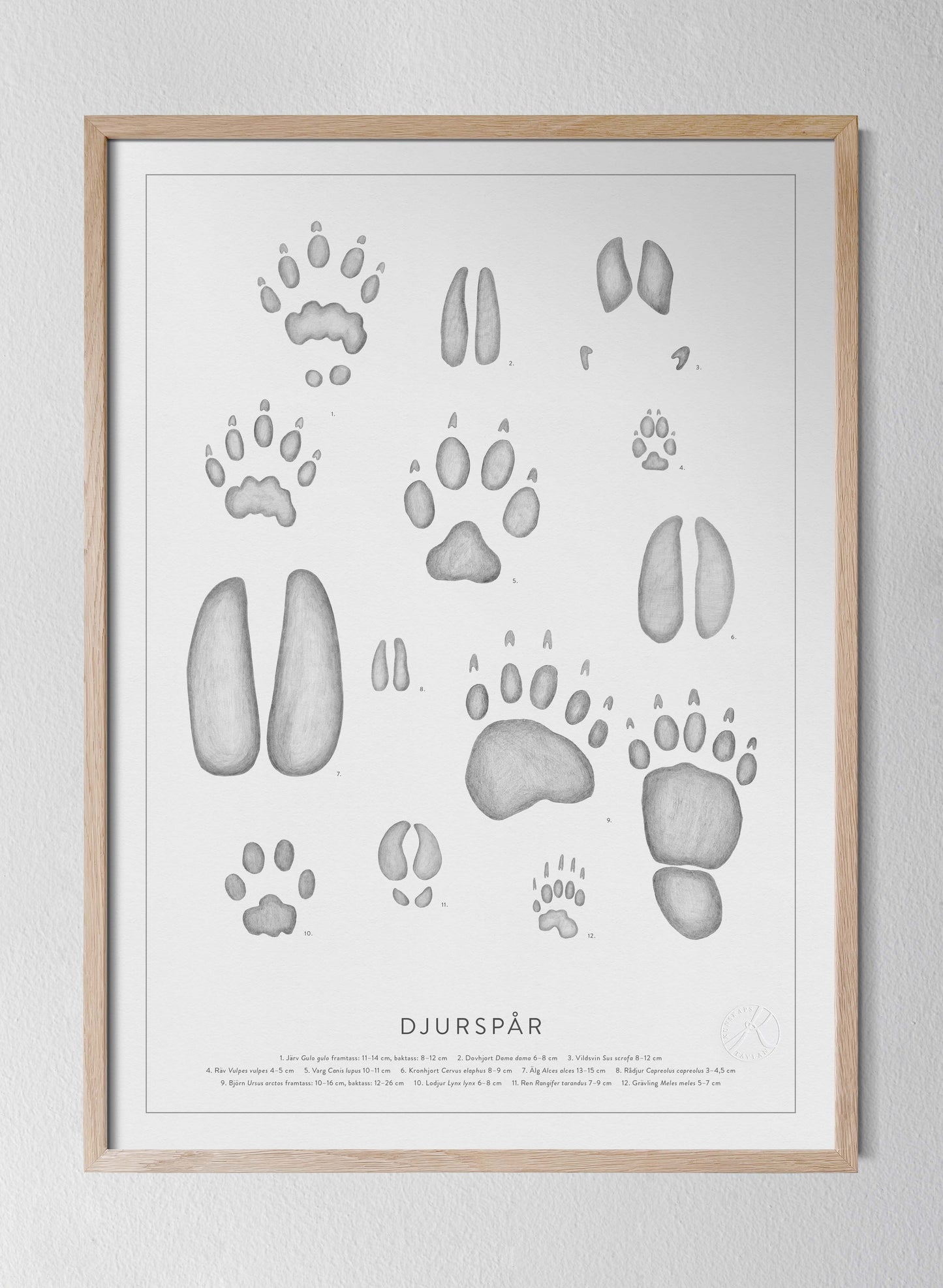 Nordic Animal Tracks