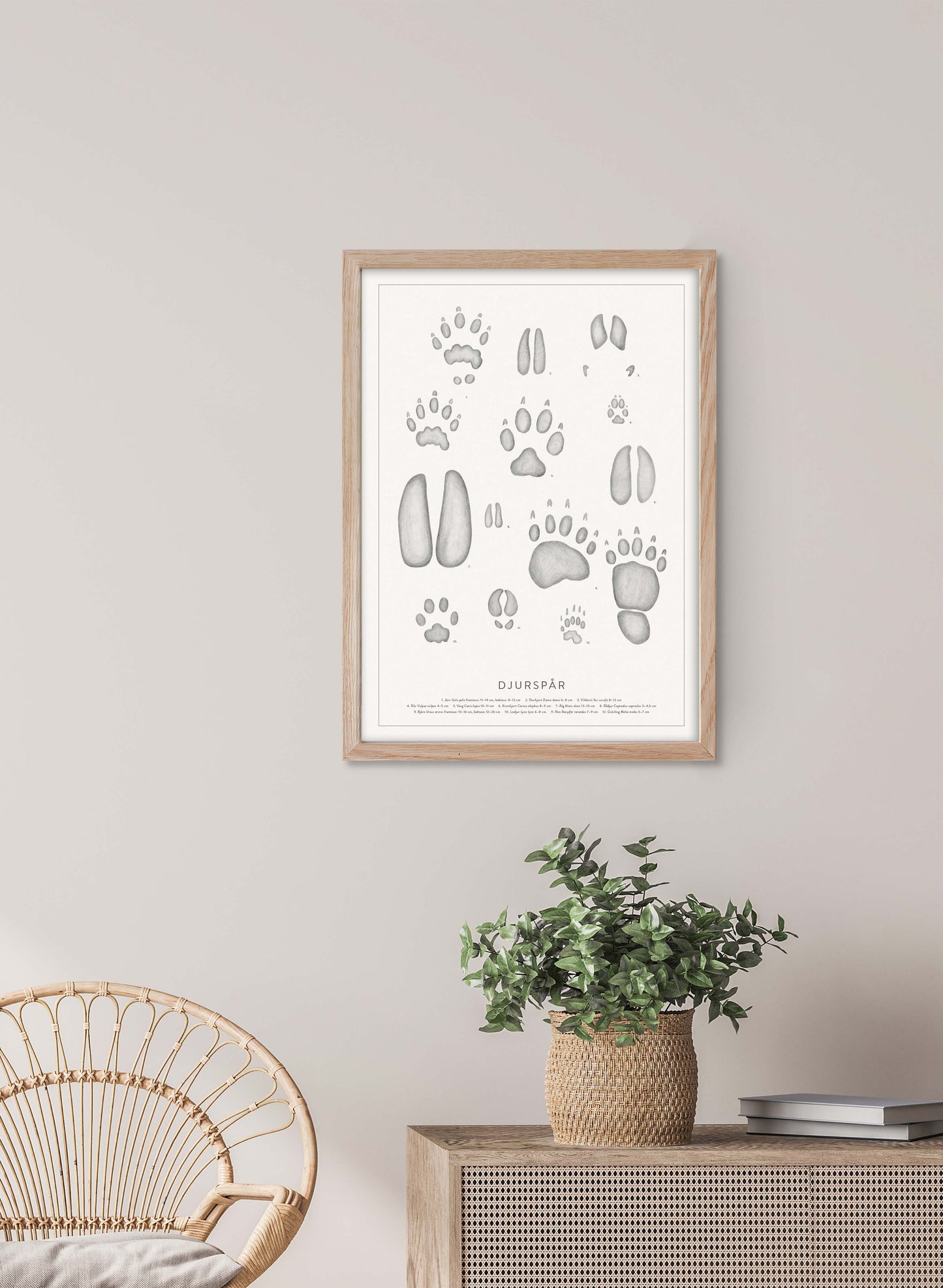 Nordic Animal Tracks