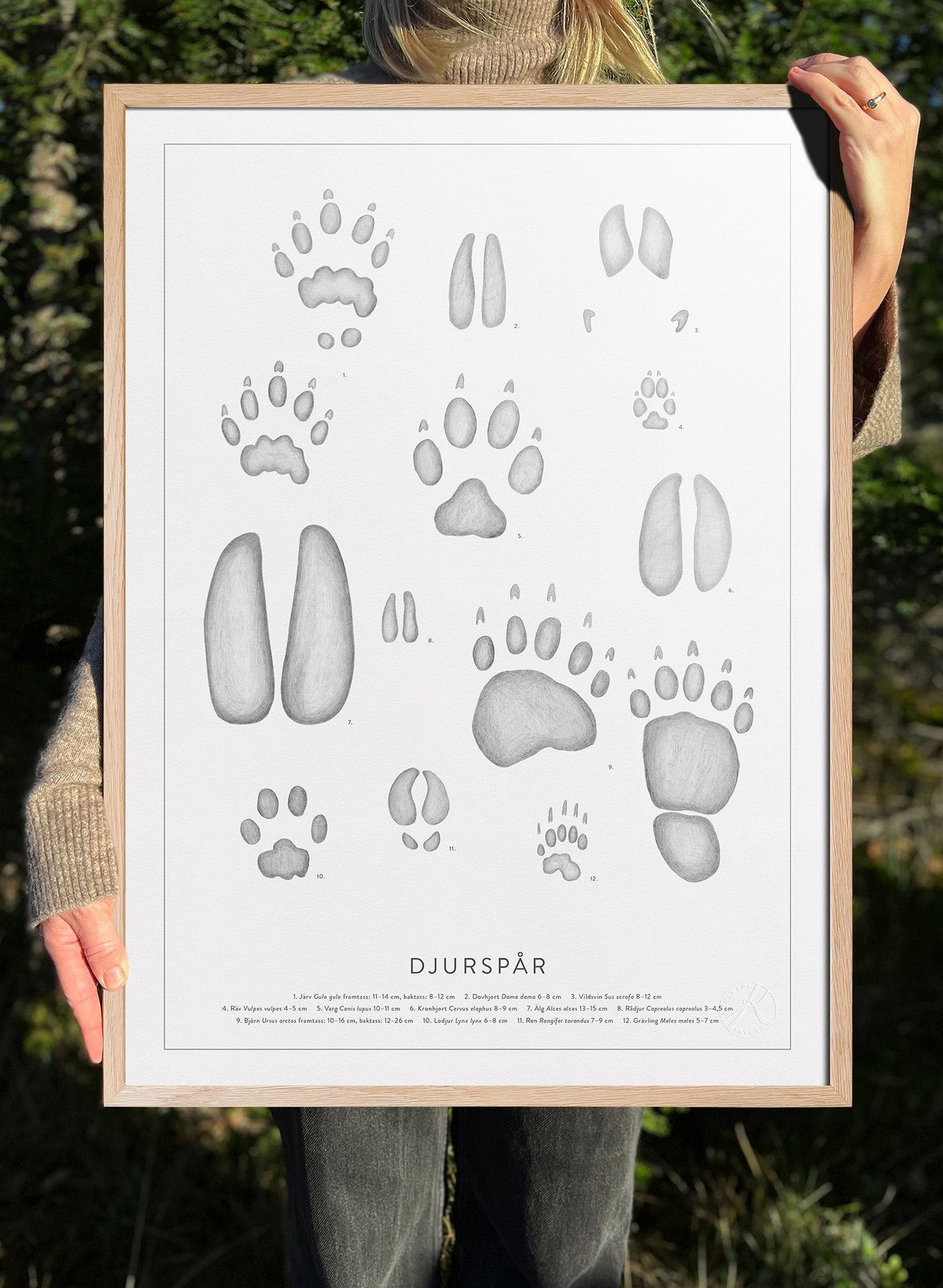 Nordic Animal Tracks