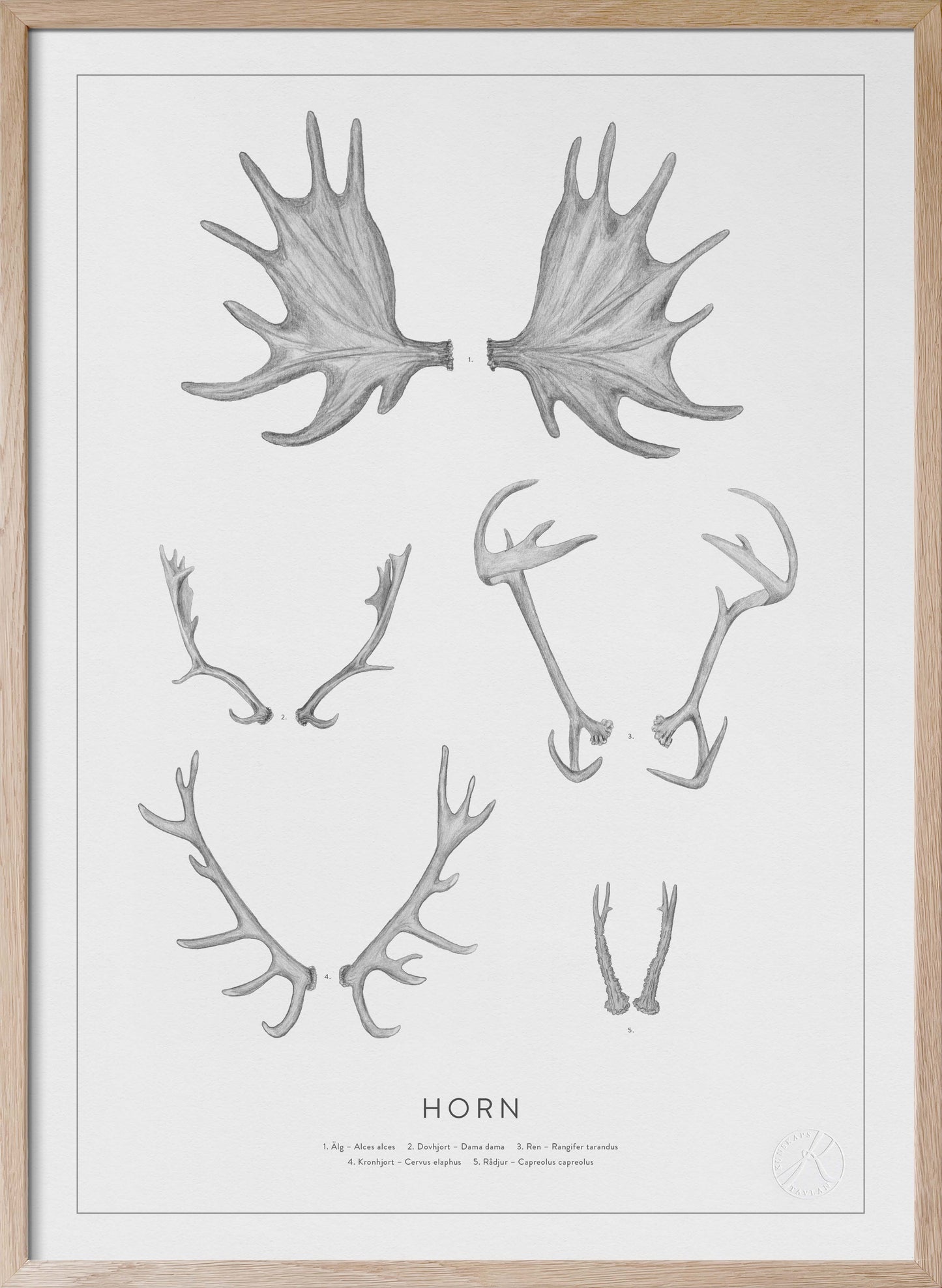 Nordic Antlers and Horns