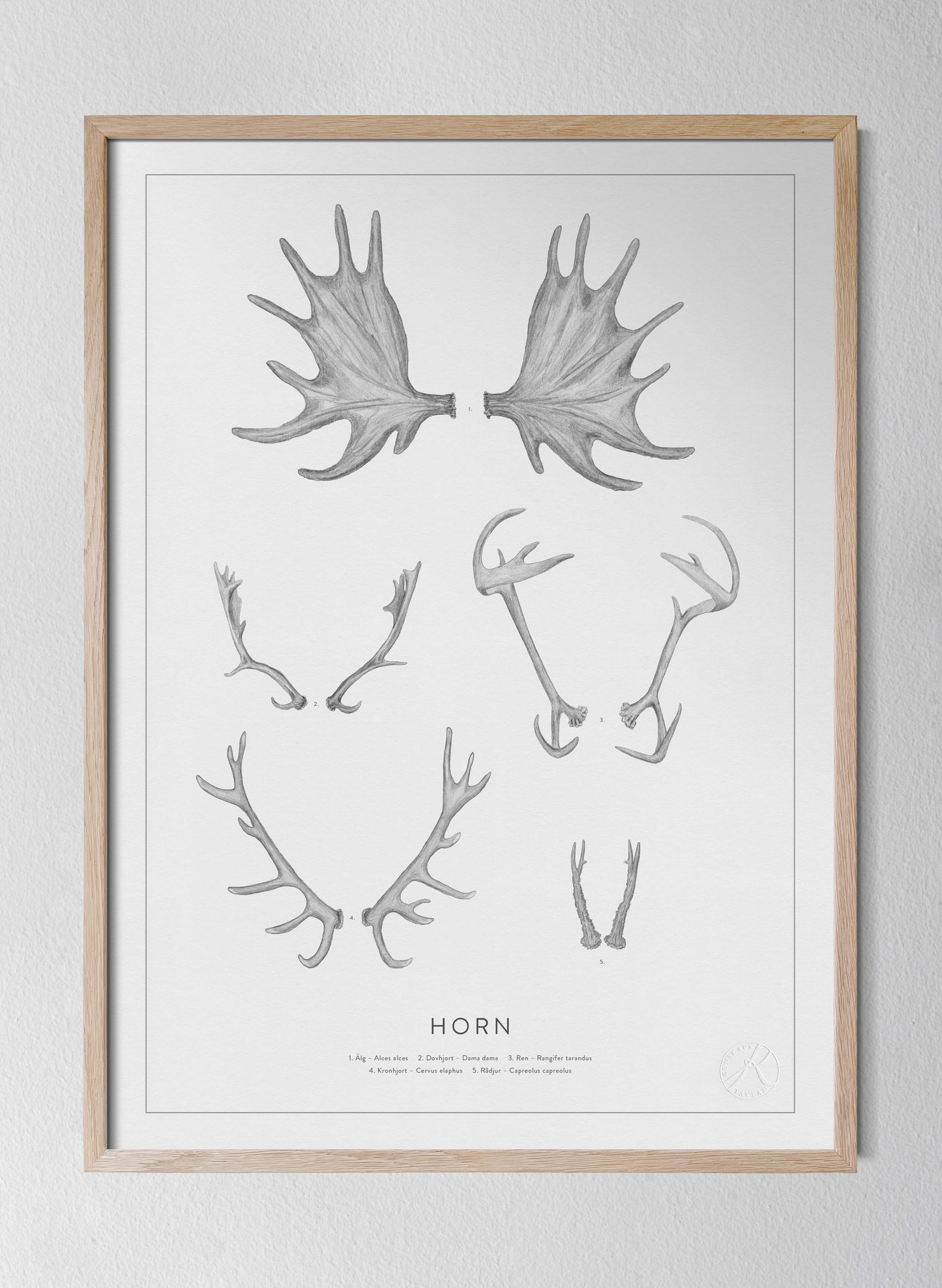 Nordic Antlers and Horns