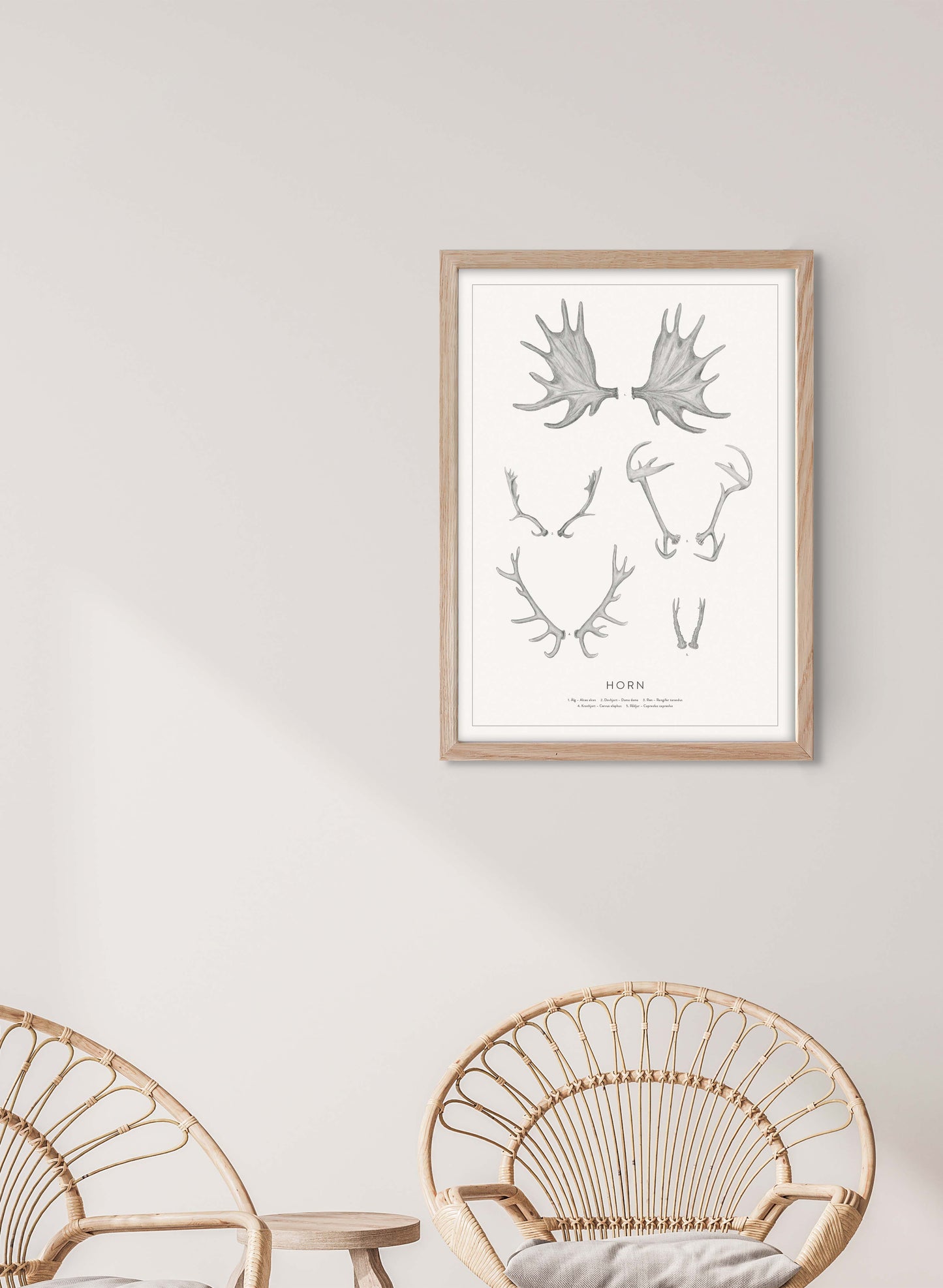 Nordic Antlers and Horns
