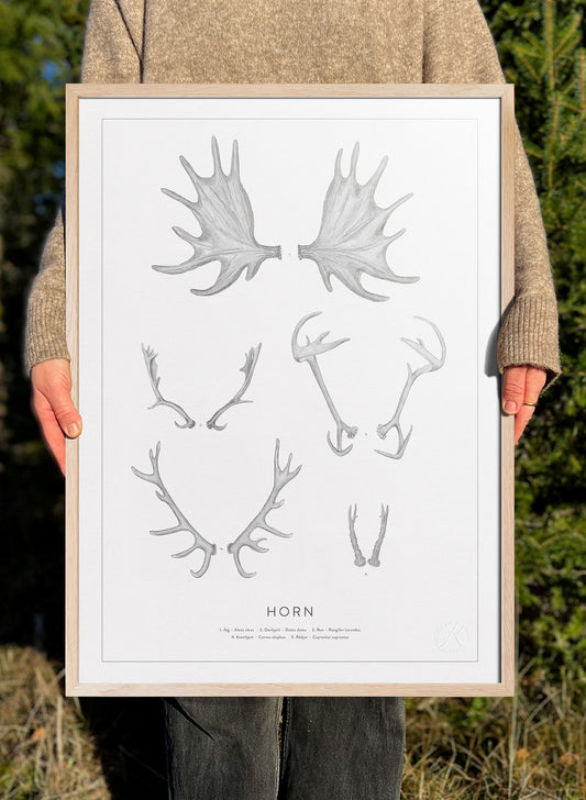Nordic Antlers and Horns
