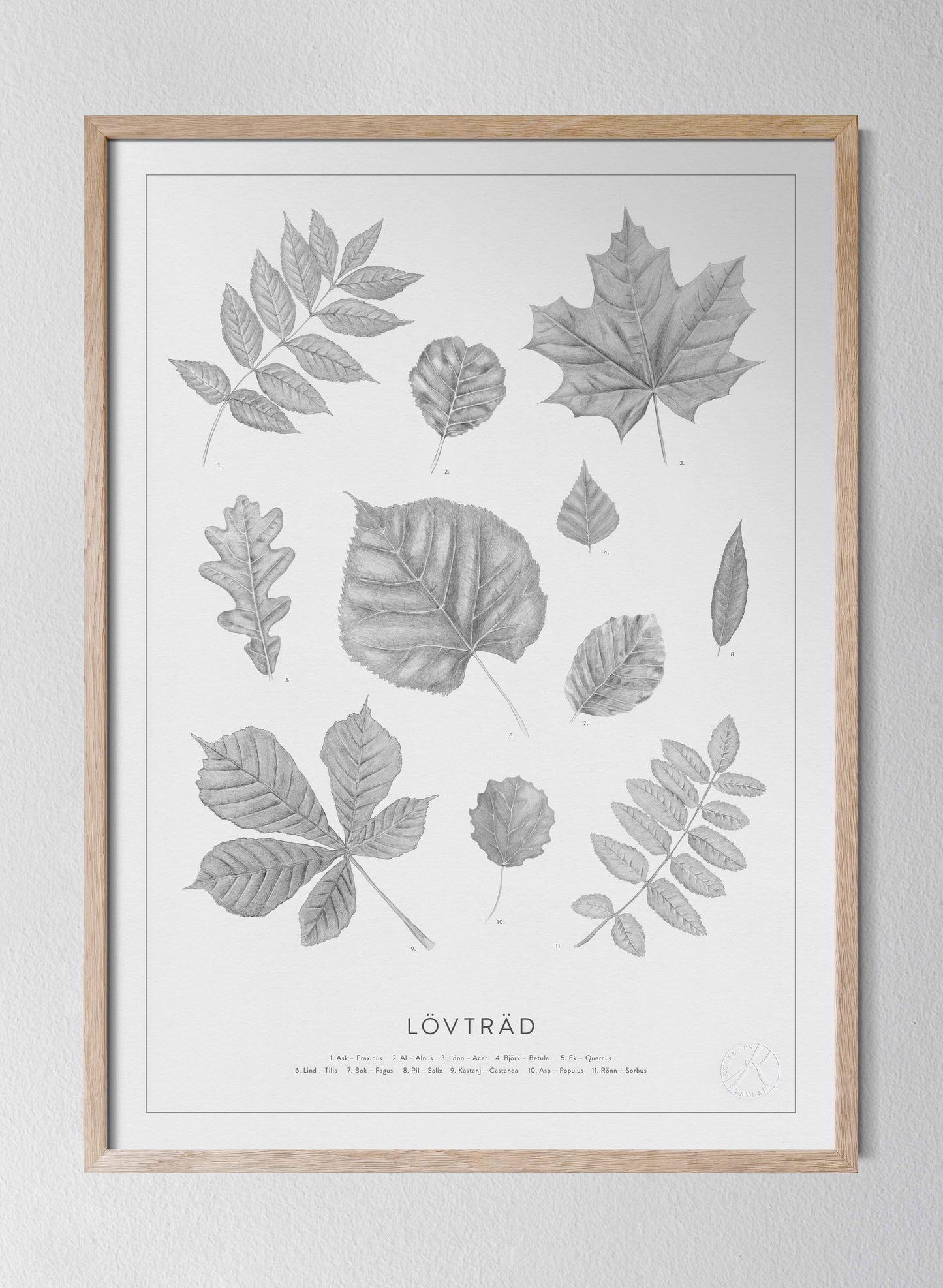 Lövträd - Leaves in Swedish